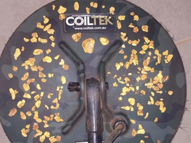 Coiltek Blog - Unexpected Gold Rush - Coiltek 14" Elite