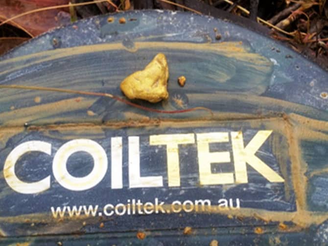 Persistence Pays Off Gold nugget found with Elite Coil