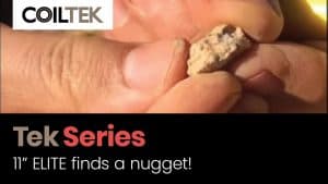 11 ELITE finds a nugget